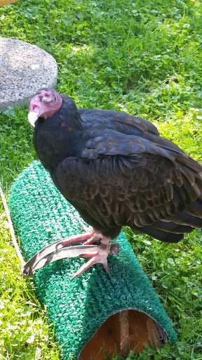 Nature Preserve «Carpenter Nature Center», reviews and photos, 12805 St Croix Trail S, Hastings, MN 55033, USA