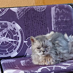 Photo n°1 de l'avis de Jan.l fait le 08/10/2019 à 08:32 sur le  Hotel Margherita à Monterosso al Mare