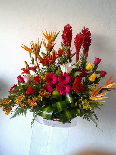 D’amore Floristeria – Mérida