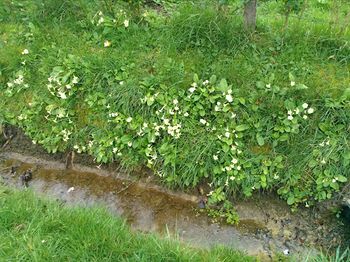 Colonie de Vacances Ville de Carrières sous Poissy à La Haye