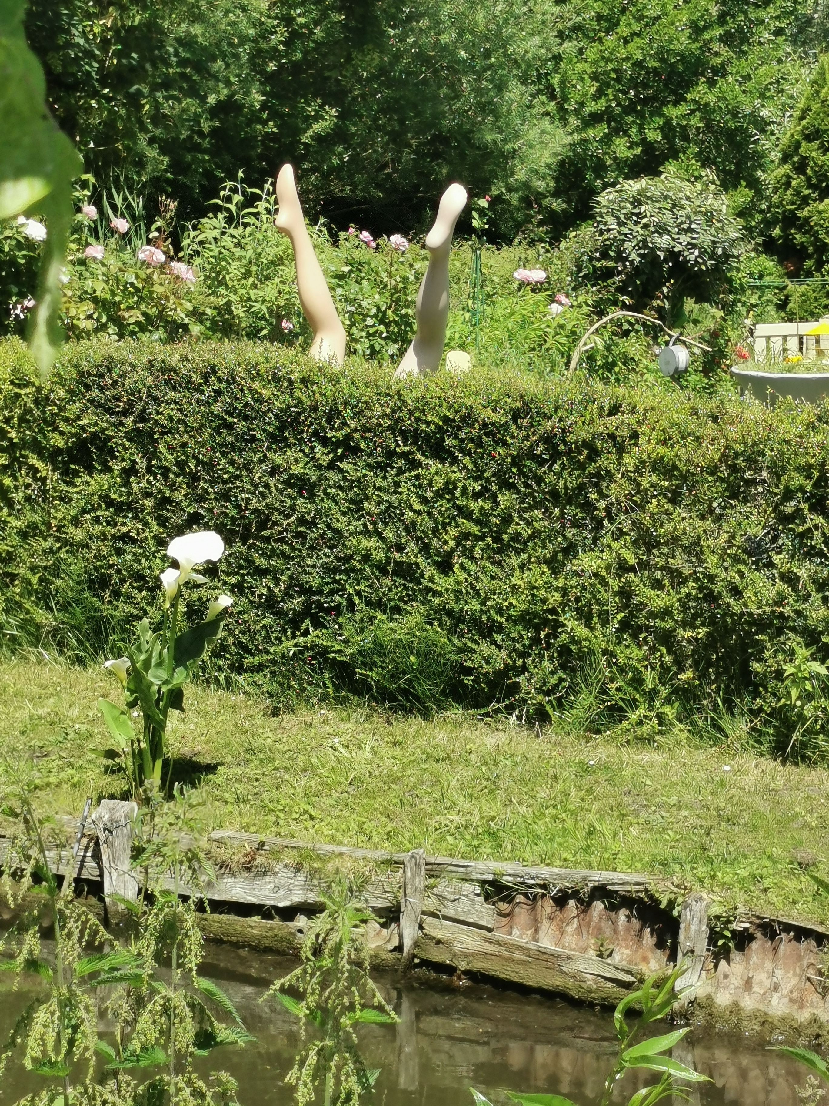 Photo n° 3 de l'avis de pierre.a fait le 13/06/2021 à 15:46