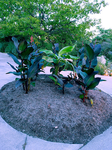 Cultural Center «Minnetrista», reviews and photos, 1200 N Minnetrista Pkwy, Muncie, IN 47303, USA