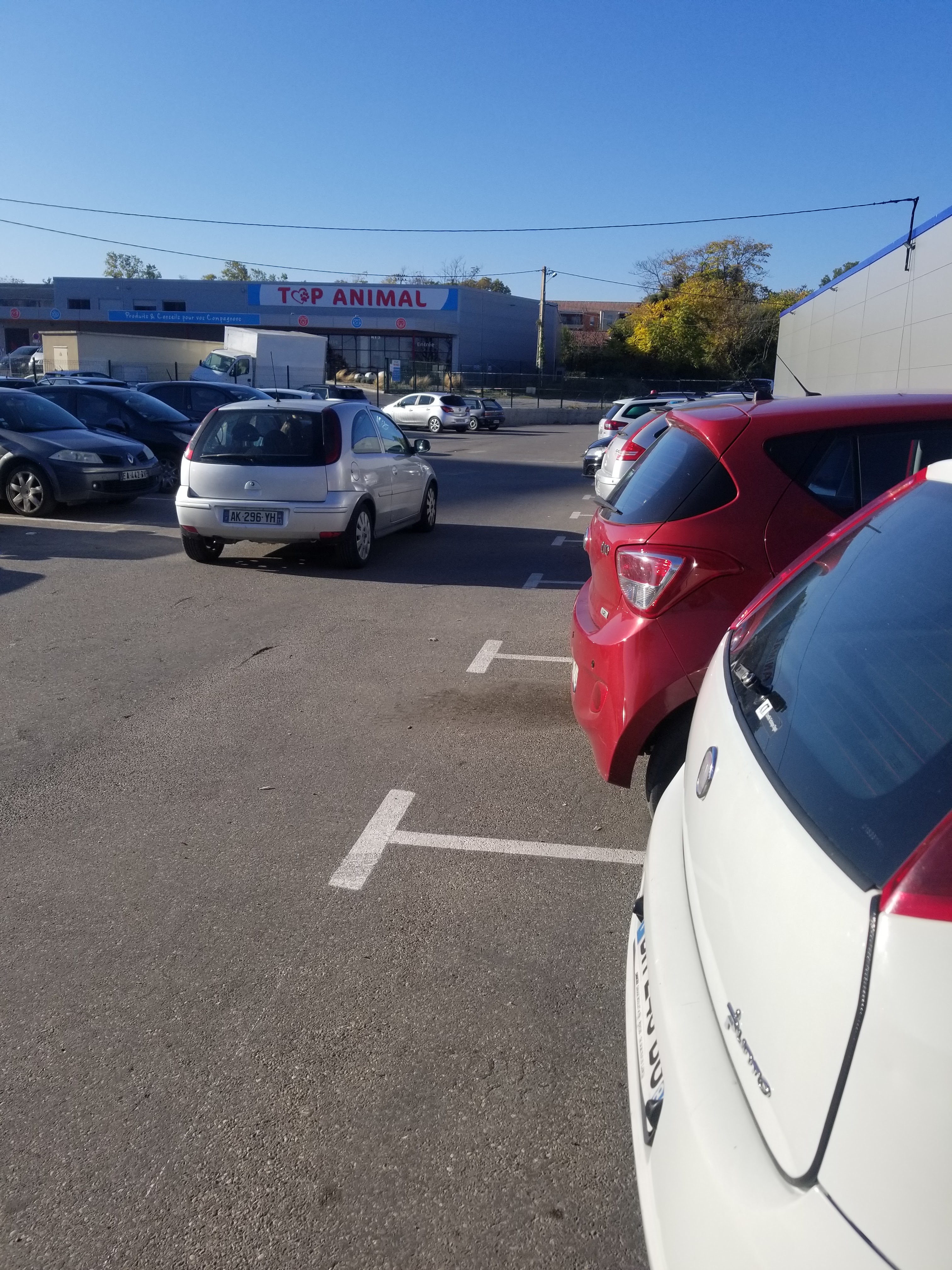 Photo n° 8 de l'avis de Roukia.A fait le 26/10/2021 à 12:07