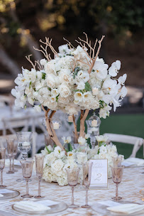 Tal Orion Conceptual Events - Photo 8 - Car repair in Woodland Hills, CA, Los Angeles