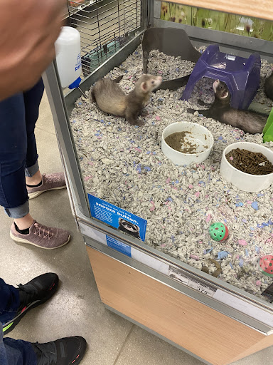 Pet Supply Store «Petco Animal Supplies», reviews and photos, 1011 University Blvd #100, Suffolk, VA 23435, USA