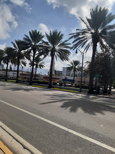 Grocery Store «Bay Supermarket», reviews and photos, 907 Normandy Dr, Miami Beach, FL 33141, USA