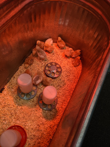 Animal Feed Store «Lomita Feed Store», reviews and photos, 24403 Narbonne Ave, Lomita, CA 90717, USA