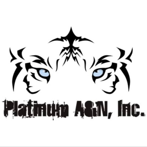 Platinum A&N, Inc in Woodstock, Illinois