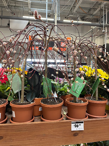 Home Improvement Store «The Home Depot», reviews and photos, 129 March Ave, Manchester, NH 03103, USA