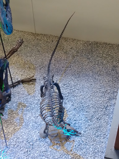 Museum «Museum of World Treasures», reviews and photos, 835 E 1st St N, Wichita, KS 67202, USA