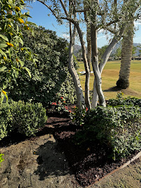 Mgs landscape management inc. - Photo 8 - Car repair in , Indio