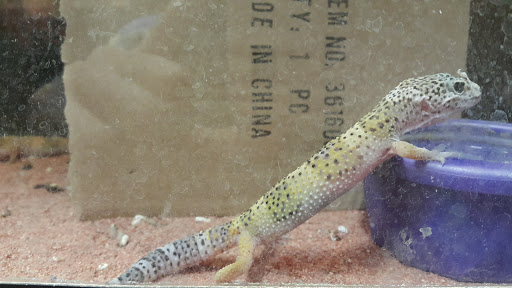 Pet Store «Dyvigs Pet Shoppe», reviews and photos, 412 Burnett Ave, Ames, IA 50010, USA