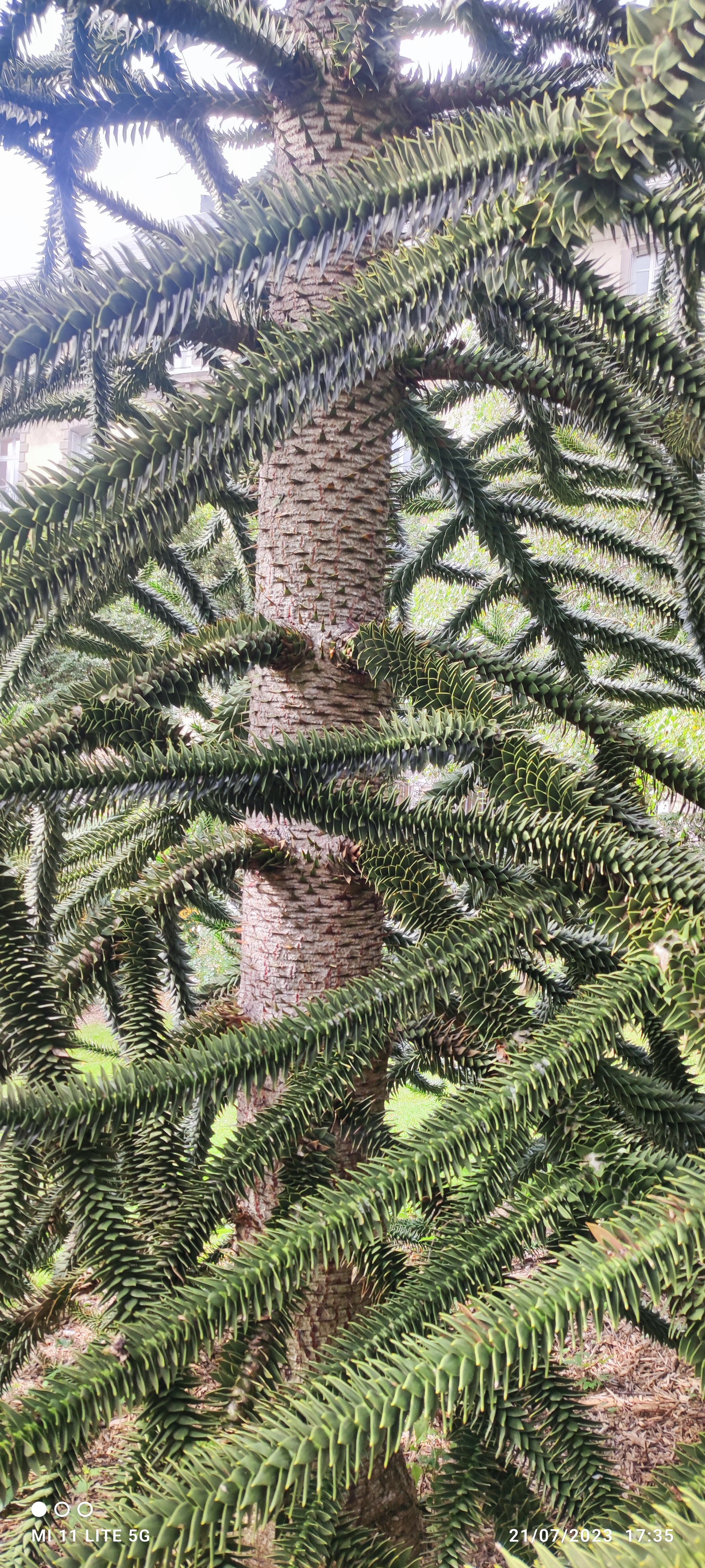 Photo n° 1 de l'avis de Christophe.e fait le 25/07/2023 à 10:59