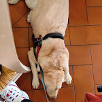 Photo n°10 de l'avis de Alberto.o fait le 06/09/2020 à 15:09 sur le  Taverna Il Gozzoviglio à Cortona