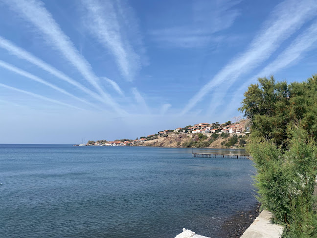 Αριθμός τηλεφώνου Olive Press Beach Bar
