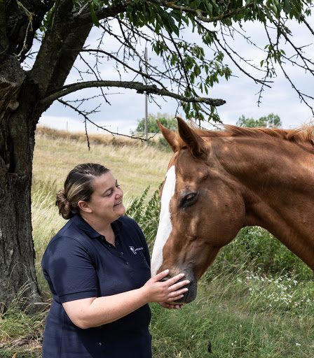 Carina Horter Mobile Tierarztpraxis - Schwerpunkt Zahnmedizin für Pferde unter Ransweiler, 