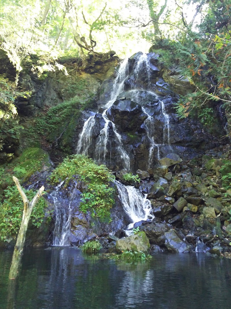 藤原湖畔公園西多目的広場