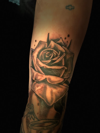 Explore animaniacs tattoo ideas, creative tattoo ideas in Madison, available at ART IMMORTAL TATTOO