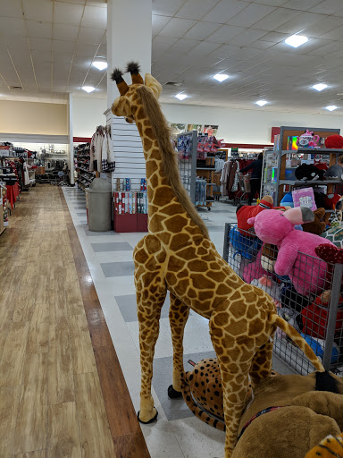 Department Store «HomeGoods», reviews and photos, 25959 Lorain Rd, North Olmsted, OH 44070, USA