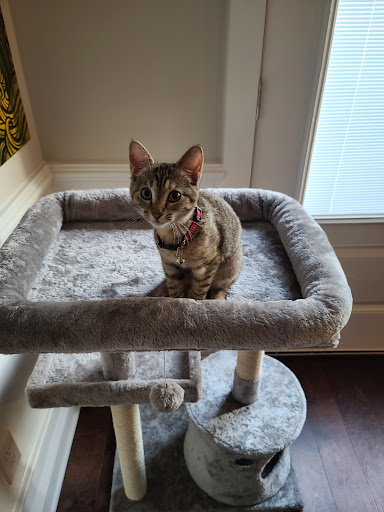 Pet Supply Store «Pet Supermarket», reviews and photos, 3821 S Cobb Dr, Smyrna, GA 30080, USA