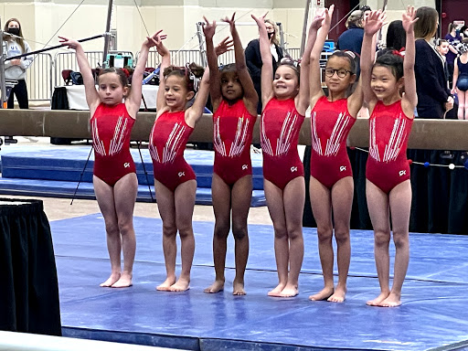 Gymnastics Center «Elite Gymnastics», reviews and photos, 8321 Bluebonnet Blvd, Baton Rouge, LA 70810, USA