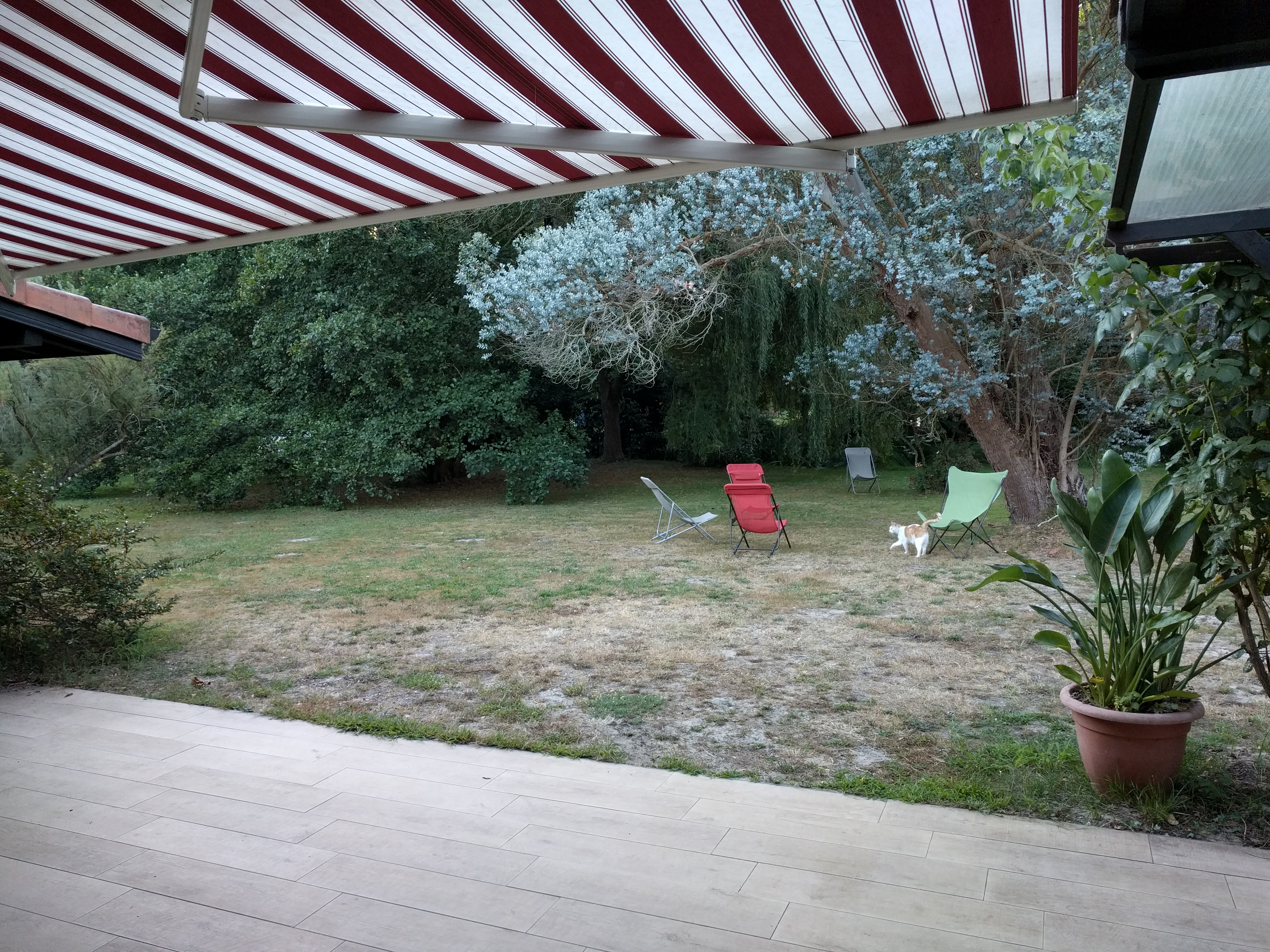 Photo n° 28 de l'avis de Viola.a fait le 23/08/2020 à 19:14