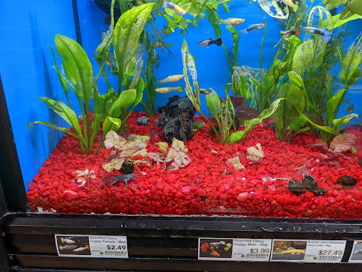 Pet Supply Store «Pet Supermarket», reviews and photos, 1040 Palm Coast Pkwy NW, Palm Coast, FL 32137, USA