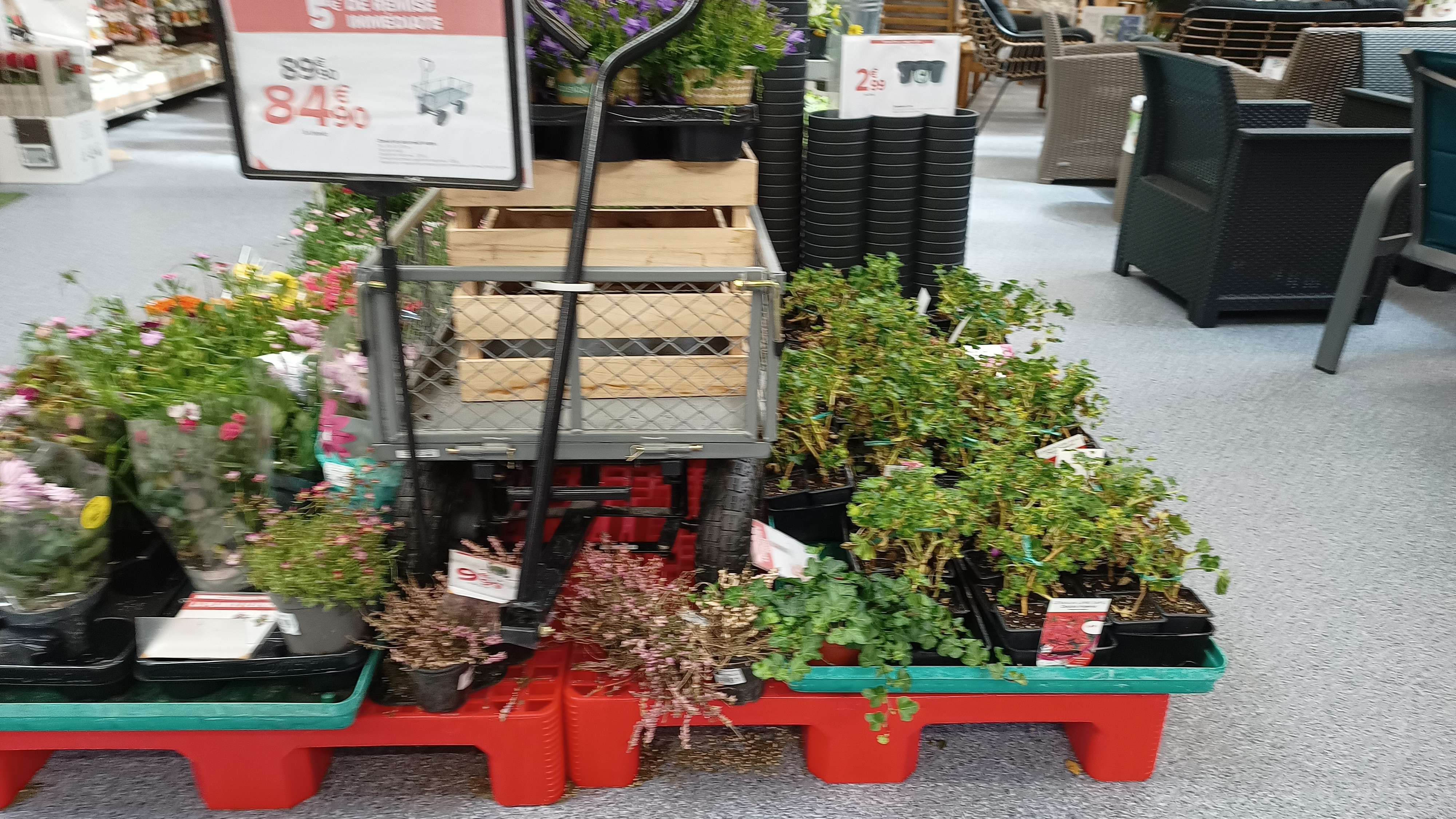 Photo n° 27 de l'avis de roger.o fait le 29/12/2018 à 17:38