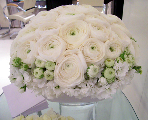 Florist «Greenwich Orchids», reviews and photos, 106 Mason St, Greenwich, CT 06830, USA