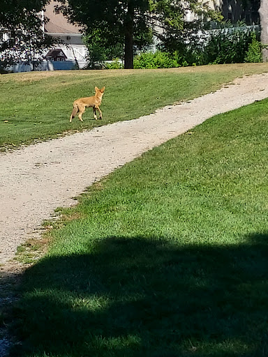 Golf Course «West Warwick Country Club», reviews and photos, 335 Wakefield St, West Warwick, RI 02893, USA