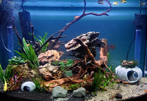 Pet Store «Animal Island Pet Shop», reviews and photos, 14411 S Cicero Ave, Midlothian, IL 60445, USA