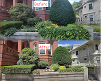 The Yard General AG INC - Photo 4 - Car repair in Medford, MA, Boston