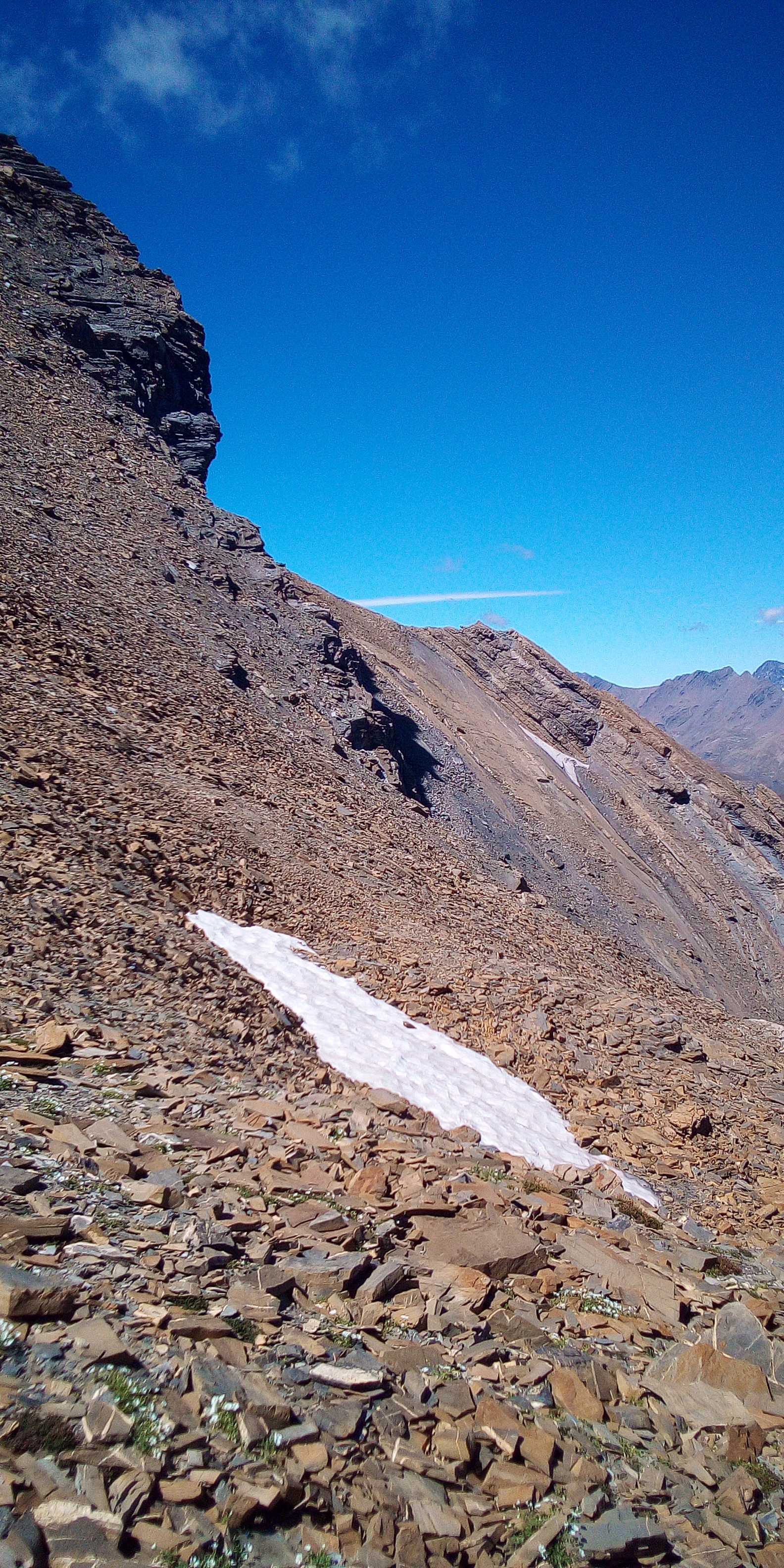 Photo n° 11 de l'avis de Théo.a fait le 10/08/2020 à 05:52