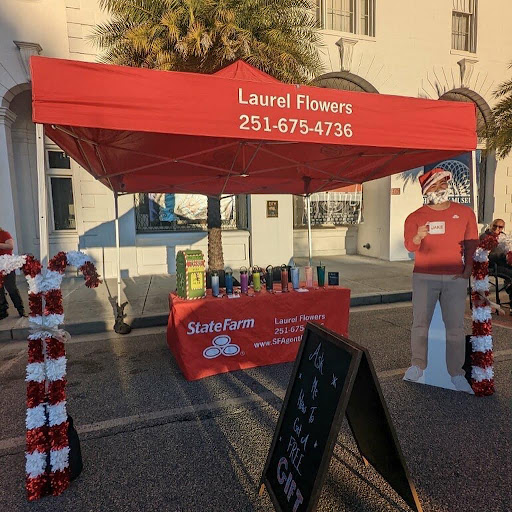 Insurance Agency «Laurel Green - State Farm Insurance Agent», reviews and photos