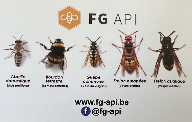 FG API