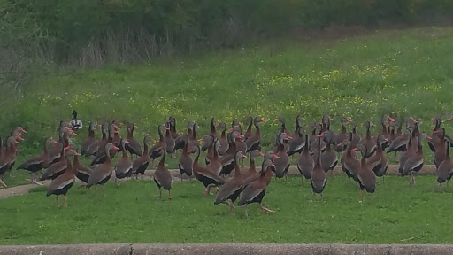 Attorney «Bailey & Galyen Attorneys at Law», reviews and photos