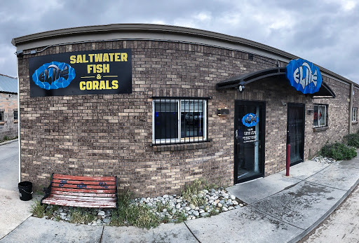 Tropical Fish Store «Elite Reef», reviews and photos, 8410 Wadsworth Blvd F, Arvada, CO 80003, USA