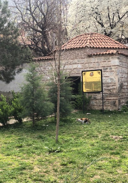 Yusuf sçSinaneddün Efendi logo