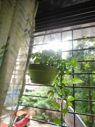 Google Maps image 17