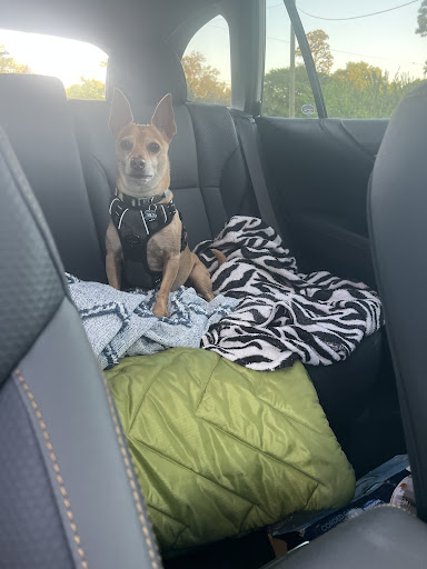 Subaru Dealer «Anderson Subaru», reviews and photos, 7050 Pensacola Blvd, Pensacola, FL 32505, USA