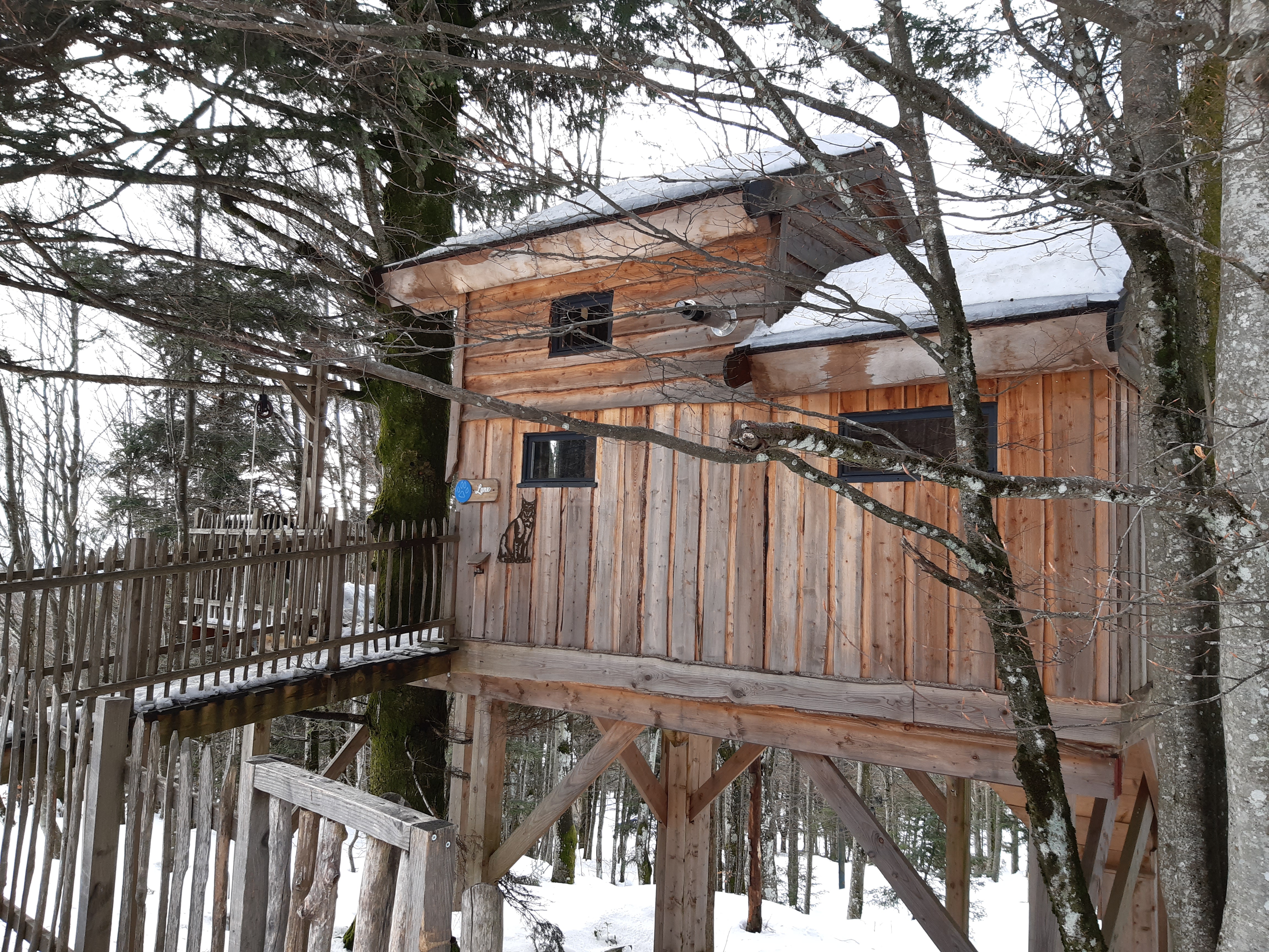 Photo n° 3 de l'avis de Evelyne.o fait le 20/01/2021 à 16:42