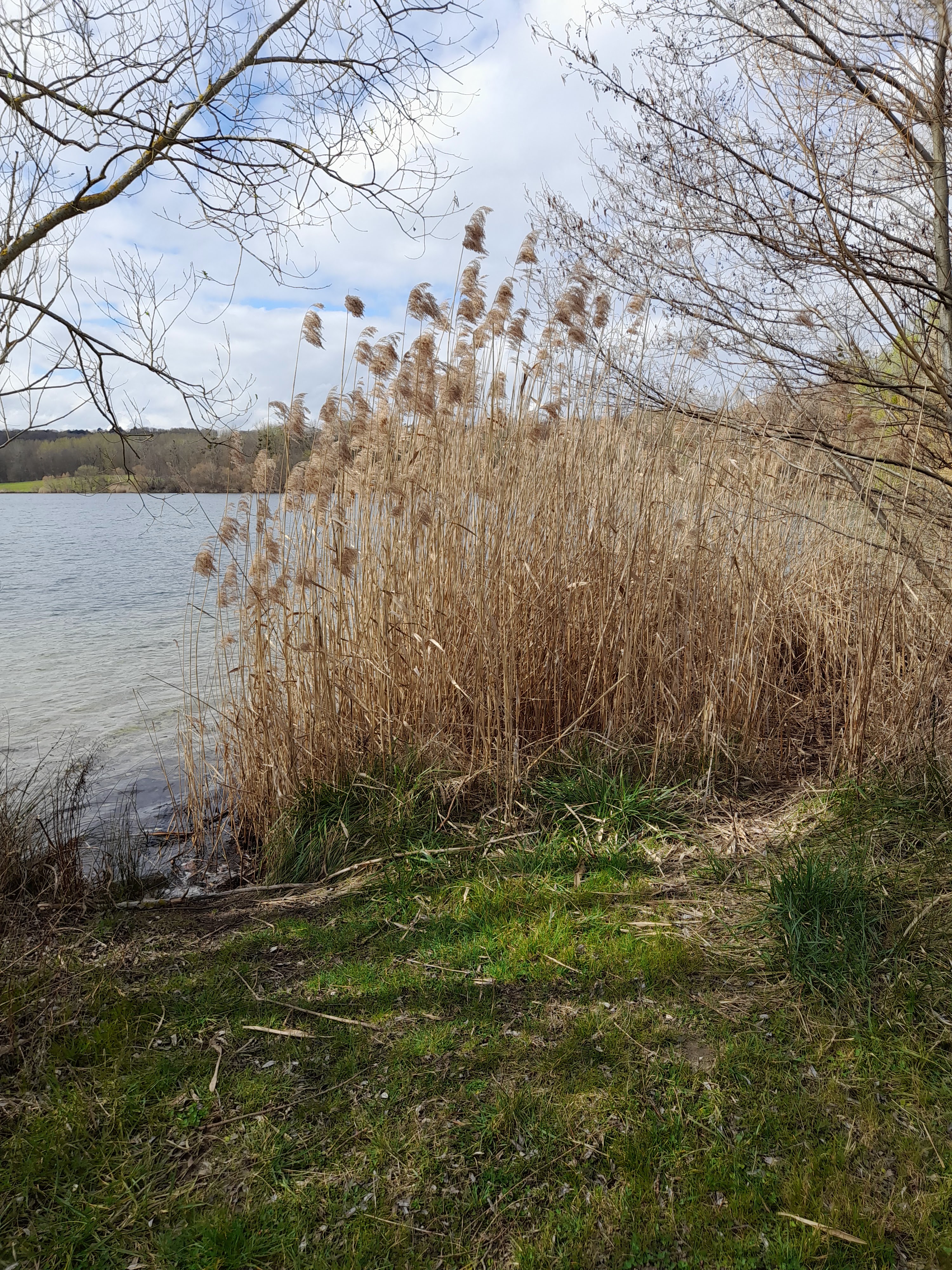 Photo n° 21 de l'avis de Patricia.u fait le 21/03/2023 à 18:46