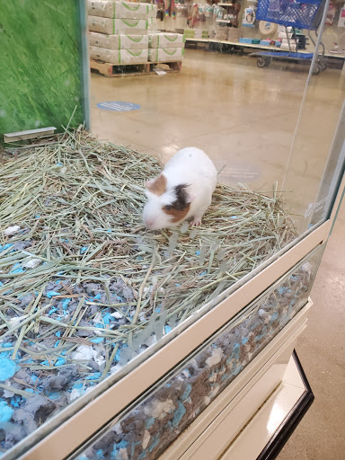 Pet Supply Store «PetSmart», reviews and photos, 2135 NJ-38 Ste B, Cherry Hill, NJ 08002, USA