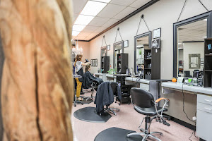 Flaunt Hair Designs @Phenix Salon Suites