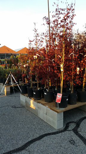 Home Improvement Store «The Home Depot», reviews and photos, 1100 Bullsboro Dr, Newnan, GA 30265, USA