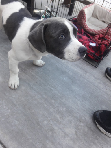 Movie Theater «RoadHouse Cinemas», reviews and photos, 4811 E Grant Rd #150, Tucson, AZ 85712, USA