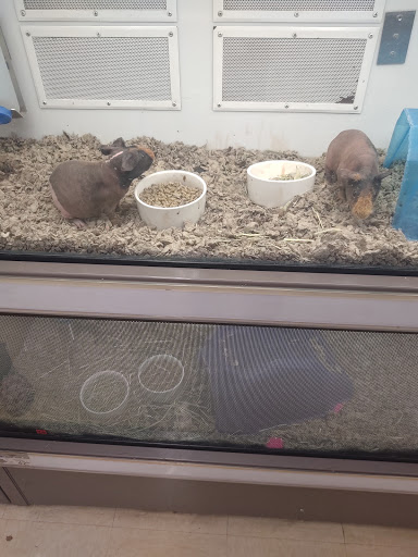 Pet Supply Store «Petco Animal Supplies», reviews and photos, 2353 Myers St, Oroville, CA 95966, USA