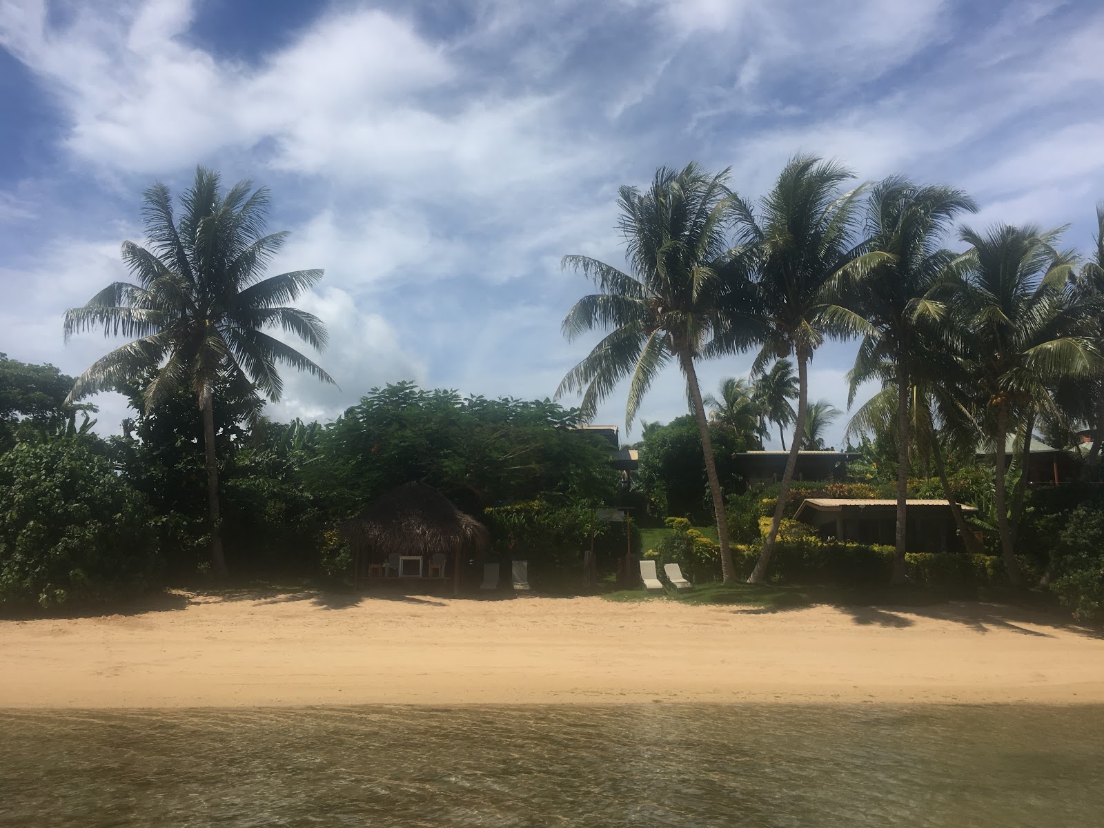 Coconut Beach'in fotoğrafı doğrudan plaj ile birlikte