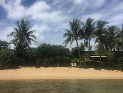 Photo de Coconut Beach avec un niveau de propreté de très propre