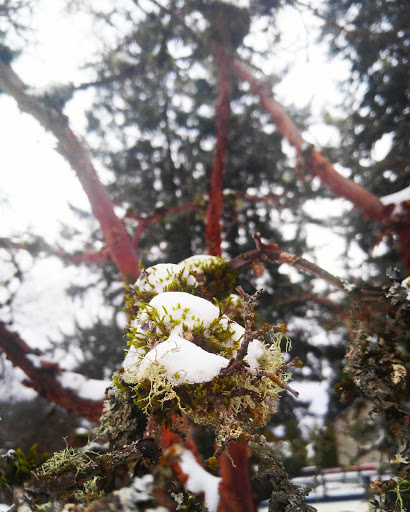 Park «Powell Butte Nature Park», reviews and photos, 16160 SE Powell Blvd, Portland, OR 97236, USA